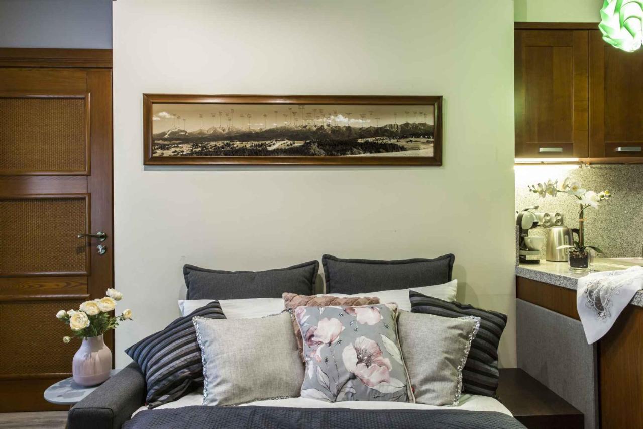 Apartament De Lux Cicha Woda 자코파네 외부 사진